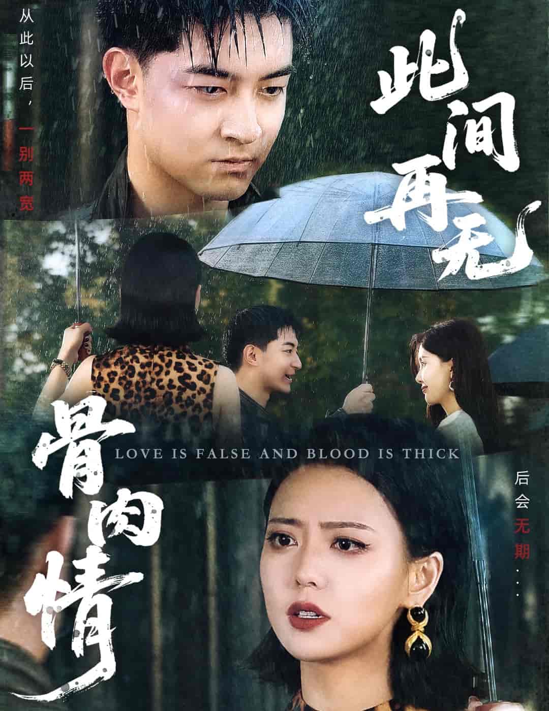 短剧《此间再无骨肉情》 短剧全集免费看，高清在线播放，大结局已完结！  第1张
