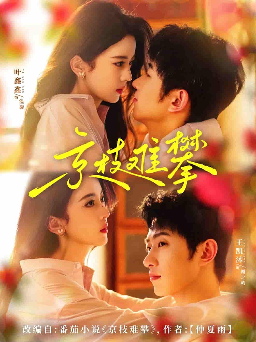 短剧《京枝难攀》 免费观看高清短剧，全集完整版在线观看无障碍