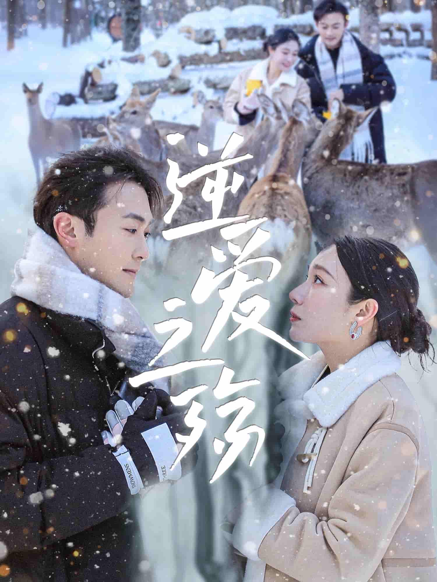 短剧《逆爱之殇》 免费看高清全集，大结局震撼揭晓
